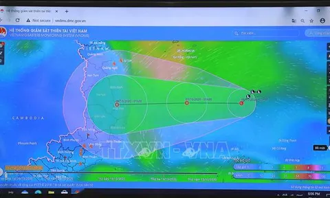 Chủ động ứng phó với vùng áp thấp có khả năng thành áp thấp nhiệt đới